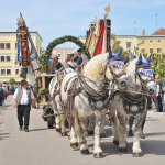 Georgiritt-T2-2025IMG_1653