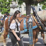 Georgiritt-T2-2025IMG_1756