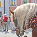 Georgiritt-T2-2025IMG_1865