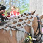 Georgiritt-T2-2025IMG_2151