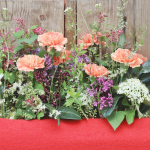 Georgiritt-T2-2025IMG_2234