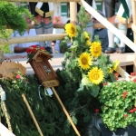 Neukirchen-2019IMG_4190