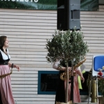 Herbstkonzert Stadtkapelle 2017IMG_2734