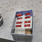 Barbaramarkt-herrichten-2025IMG_7319