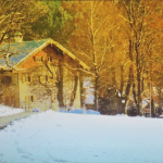 Heilige-Nacht-2025IMG_8281-b