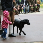JagdhundeBurg2018IMG_0620