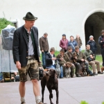 JagdhundeBurg2018IMG_0633