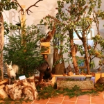 JagdtiereAusstellungBurg2018IMG_0904