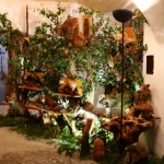JagdtiereAusstellungBurg2018IMG_0906
