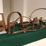 JagdtiereAusstellungBurg2018IMG_0980
