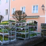 Josefimarkt 2019IMG_8762