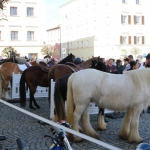 Josefimarkt 2019IMG_8791