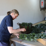 Georgiritt2026IMG_4659