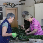 Georgiritt2026IMG_4664