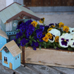 Georgiritt2026IMG_4685