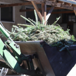 Georgiritt2026IMG_4688