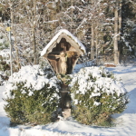 Krippenfeier-Meggenthal-2026IMG_9478