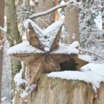 Krippenfeier-Meggenthal-2026IMG_9481