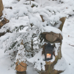 Krippenfeier-Meggenthal-2026IMG_9486