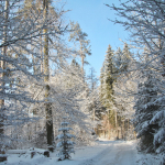 Krippenfeier-Meggenthal-2026IMG_9497