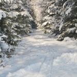 Krippenfeier-Meggenthal-2026IMG_9710