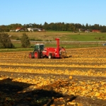 KürbisernteLedernr2018IMG_0006