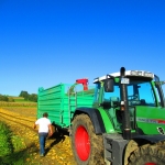 KürbisernteLedernr2018IMG_1584