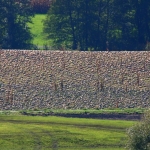 KürbisernteLedernr2018IMG_9806