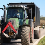 KürbisernteLedernr2018IMG_9831