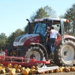 KürbisernteLedernr2018IMG_9880