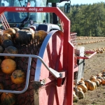 KürbisernteLedernr2018IMG_9906