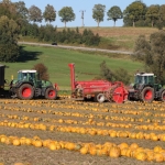 KürbisernteLedernr2018IMG_9942