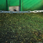 KürbisernteLedernr2018IMG_9978