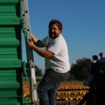 KürbisernteLedernr2018IMG_9991