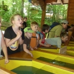 Märchnepark2017P1050553