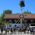 Maibaum-aufstellen-Impressionen2026IMG_6061