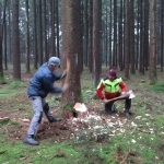 Maibaum umschneiden18-19IMG_2887