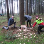 Maibaum umschneiden18-19IMG_2894