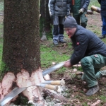 Maibaum umschneiden18-19IMG_2899