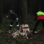 Maibaum umschneiden18-19IMG_2909