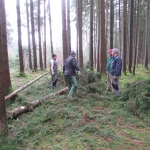 Maibaum umschneiden18-19IMG_2914