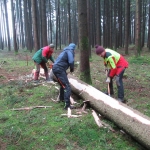Maibaum umschneiden18-19IMG_2924