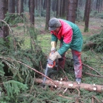 Maibaum umschneiden18-19IMG_2934