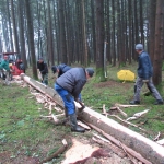 Maibaum umschneiden18-19IMG_2945
