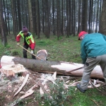 Maibaum umschneiden18-19IMG_2949