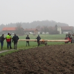 Maibaum umschneiden18-19IMG_2968