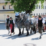 IMG_0776
