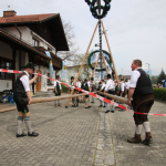 Maibaum-Burgkirchen-aufstellen-2023IMG_0842
