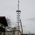 Maibaum-Burgkirchen-aufstellen-2023IMG_0918