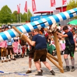 MaibaumFFW2017 (1)